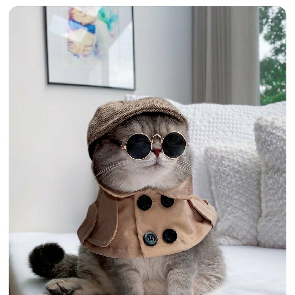 Meet your Posher, Victoria